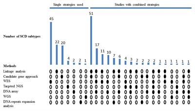 The History of Gene Hunting in Hereditary Spinocerebellar Degeneration: Lessons From the Past and Future Perspectives